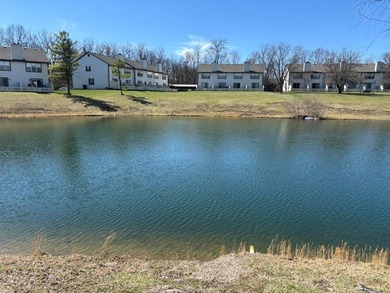 Price reduced. This package consists of 14 townhome condos at - photo 21