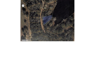 Lake Lot For Sale in Lumberton, Mississippi