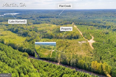 Lake Acreage For Sale in Martin, Georgia