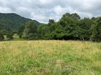 Clinch River - Hancock County Acreage For Sale in Sneedville Tennessee