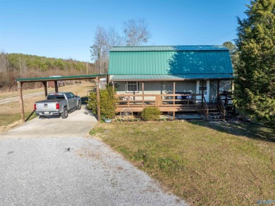 Lake Home For Sale in Leesburg, Alabama