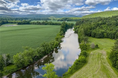 Forty-three acres on the Susquehanna River in Otego-Unadilla, NY - photo 47