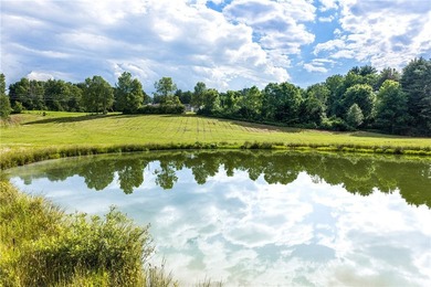 Forty-three acres on the Susquehanna River in Otego-Unadilla, NY - photo 48