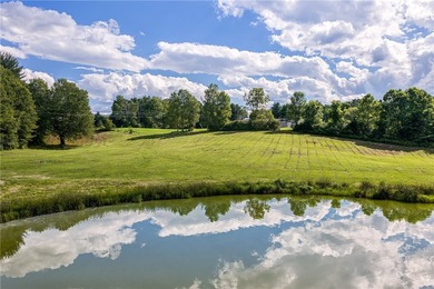 Forty-three acres on the Susquehanna River in Otego-Unadilla, NY - photo 49
