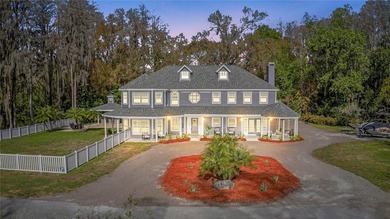 Saddleback Lake Home For Sale in Lutz Florida