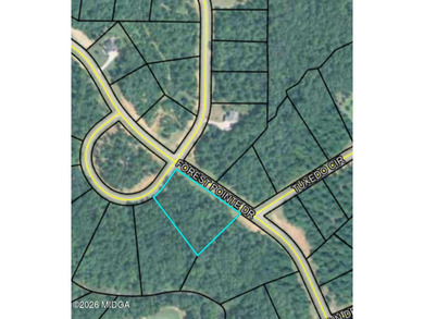 (private lake, pond, coastal) Acreage For Sale in Forsyth Georgia