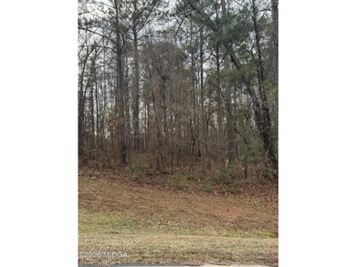 Build your dream home in River Forest, a premier gated golf - photo 3