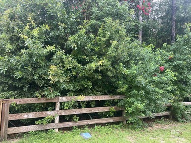 (private lake, pond, coastal) Lot For Sale in Summerdale Alabama