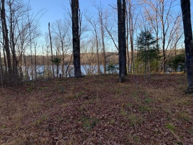 Flambeau River - Price County Lot For Sale in Park Falls Wisconsin