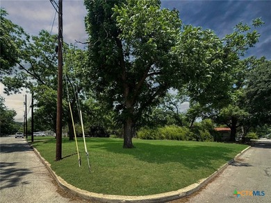 Five contiguous, level homesites-cleared and shaded by mature - photo 4