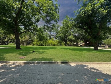 Five contiguous, level homesites-cleared and shaded by mature - photo 5