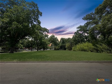 Five contiguous, level homesites-cleared and shaded by mature - photo 8