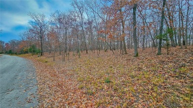Lake Lot For Sale in Sunrise Beach, Missouri