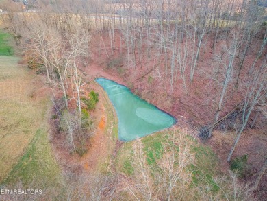 Remarkable 50+/- Acre Opportunity with Two Homes, Mountain Views - photo 11
