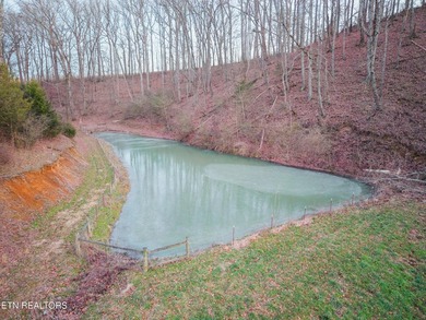 Remarkable 50+/- Acre Opportunity with Two Homes, Mountain Views - photo 12