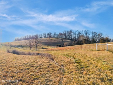 Remarkable 50+/- Acre Opportunity with Two Homes, Mountain Views - photo 15