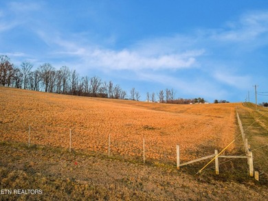 Remarkable 50+/- Acre Opportunity with Two Homes, Mountain Views - photo 17