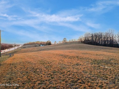 Remarkable 50+/- Acre Opportunity with Two Homes, Mountain Views - photo 18