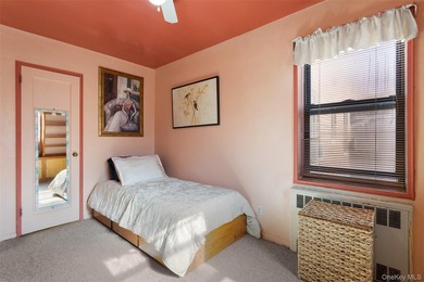 Sophisticated and sun-filled two-bedroom co-op offering hardwood - photo 20