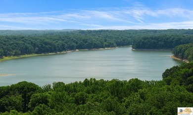 Storm-Ready with Full Basement - 1.10-Acre Barren River - photo 31