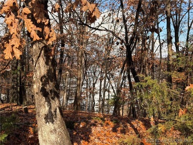 Lake of the Ozarks Lot For Sale in Four Seasons Missouri