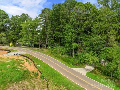 Snag One of the Few Available Waterfront Lots on High Rock Lake! - photo 4