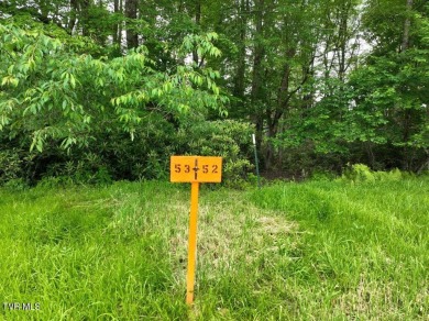 Lake Lot For Sale in Roan Mountain, Tennessee