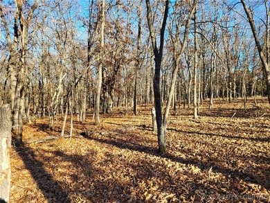 Lake Acreage For Sale in Edwards, Missouri