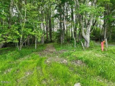 Lake Lot For Sale in Roan Mountain, Tennessee