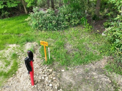 Lake Lot For Sale in Roan Mountain, Tennessee