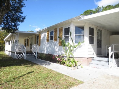 (private lake, pond, creek) Home For Sale in Ocklawaha Florida