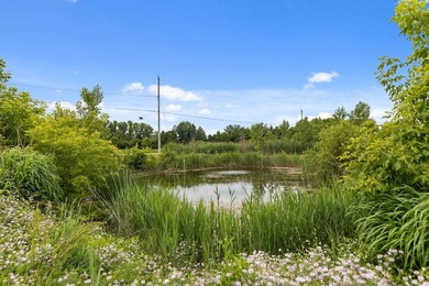 Country feel but minutes from everything you need - this is a - photo 31