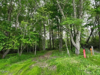 Lake Lot For Sale in Roan Mountain, Tennessee