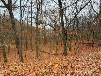 Feels like lakefront without the price! Spacious Lake view lot - photo 5