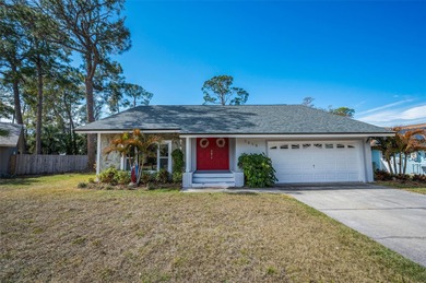 Lake Tarpon Home For Sale in Palm Harbor Florida
