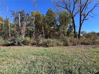 (private lake, pond, creek) Lot For Sale in Lathrop Missouri