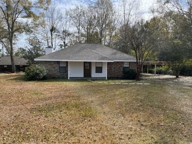 Lake Home For Sale in Carriere, Mississippi