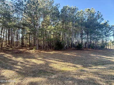 Located on the 5th fairway in River Forest subdivision. Perfect - photo 2
