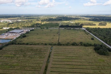 33 +/- acres with over 1,500 feet frontage Kings Hwy and St - photo 13
