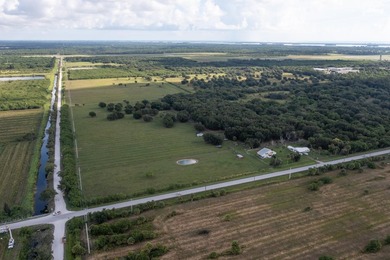 33 +/- acres with over 1,500 feet frontage Kings Hwy and St - photo 15