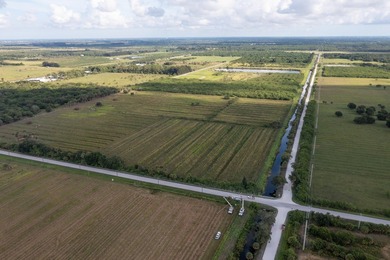 33 +/- acres with over 1,500 feet frontage Kings Hwy and St - photo 16