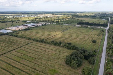33 +/- acres with over 1,500 feet frontage Kings Hwy and St - photo 19