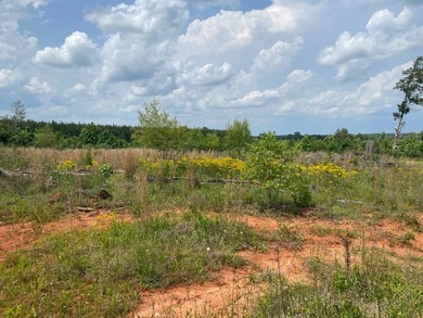 Uncover the extraordinary with this 240-acre premier tract - photo 4