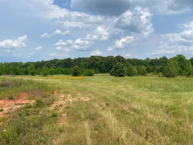 Uncover the extraordinary with this 240-acre premier tract - photo 5