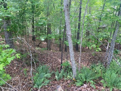 Uncover the extraordinary with this 240-acre premier tract - photo 6