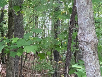 Uncover the extraordinary with this 240-acre premier tract - photo 7