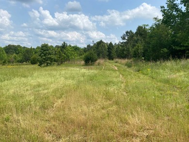 Uncover the extraordinary with this 240-acre premier tract - photo 8