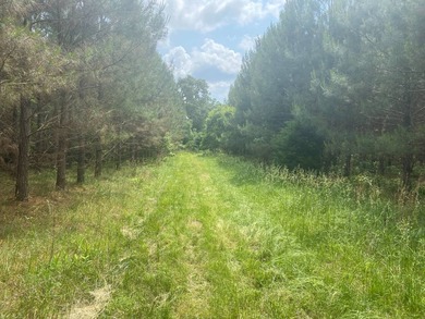Uncover the extraordinary with this 240-acre premier tract - photo 9