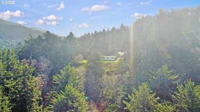 Rare Gold Beach hilltop retreat! This 3.21-acre property - photo 4