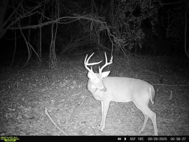 (private lake, pond, creek) Acreage For Sale in Durant Mississippi